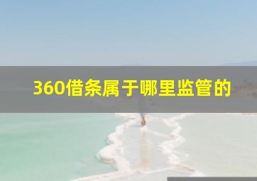 360借条属于哪里监管的