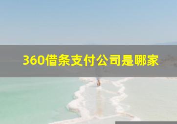 360借条支付公司是哪家