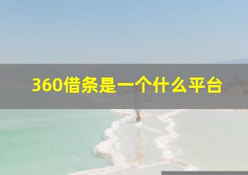 360借条是一个什么平台