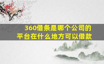 360借条是哪个公司的平台在什么地方可以借款