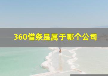 360借条是属于哪个公司