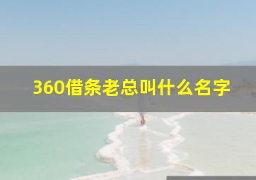 360借条老总叫什么名字