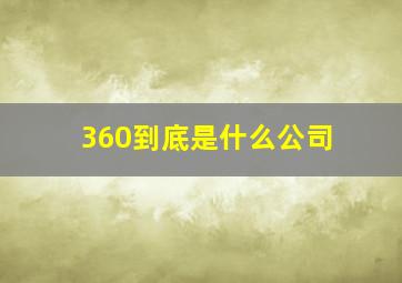 360到底是什么公司