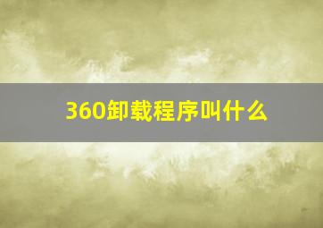 360卸载程序叫什么