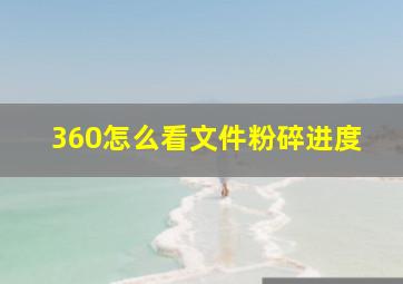 360怎么看文件粉碎进度