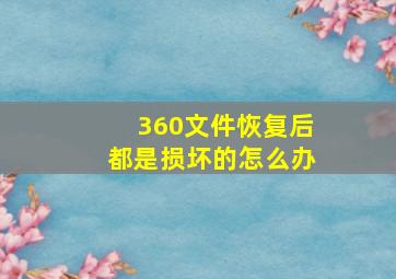 360文件恢复后都是损坏的怎么办