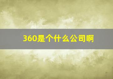 360是个什么公司啊