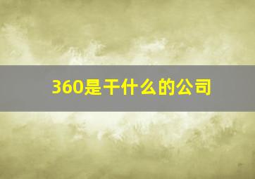 360是干什么的公司