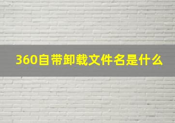 360自带卸载文件名是什么