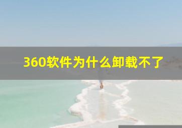 360软件为什么卸载不了