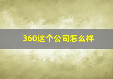 360这个公司怎么样