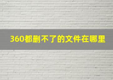 360都删不了的文件在哪里