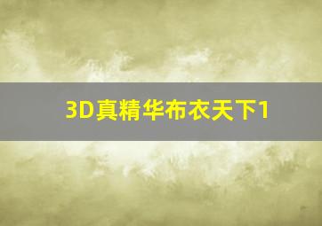 3D真精华布衣天下1