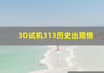 3D试机313历史出现情