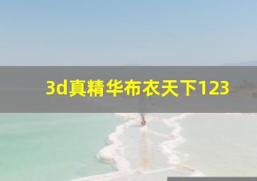 3d真精华布衣天下123