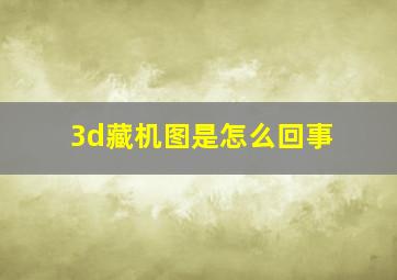 3d藏机图是怎么回事