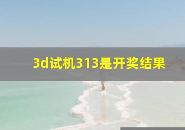 3d试机313是开奖结果