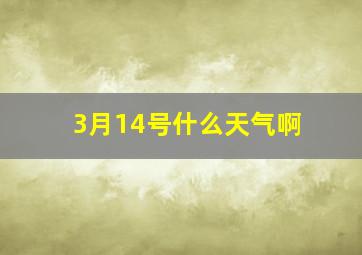 3月14号什么天气啊