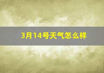 3月14号天气怎么样