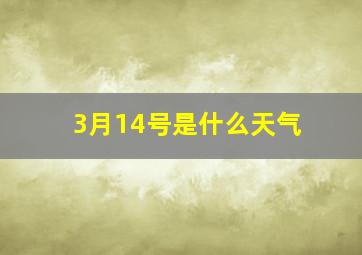 3月14号是什么天气