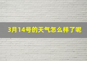 3月14号的天气怎么样了呢