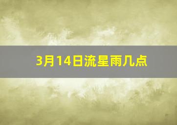 3月14日流星雨几点