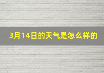 3月14日的天气是怎么样的