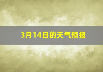 3月14日的天气预报