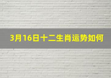 3月16日十二生肖运势如何