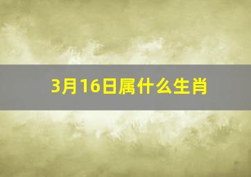 3月16日属什么生肖