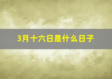 3月十六日是什么日子