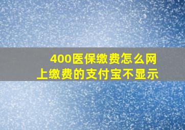 400医保缴费怎么网上缴费的支付宝不显示