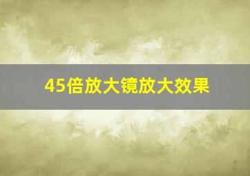 45倍放大镜放大效果