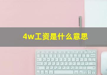 4w工资是什么意思