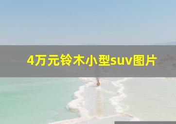 4万元铃木小型suv图片