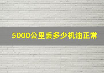 5000公里丢多少机油正常