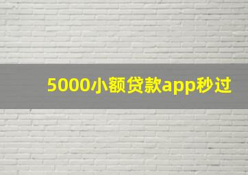 5000小额贷款app秒过