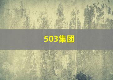 503集团