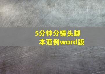 5分钟分镜头脚本范例word版