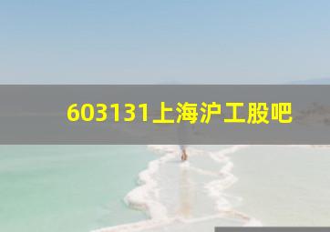 603131上海沪工股吧