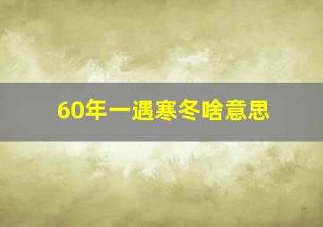 60年一遇寒冬啥意思