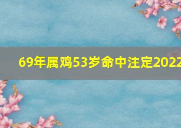 69年属鸡53岁命中注定2022