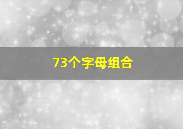 73个字母组合