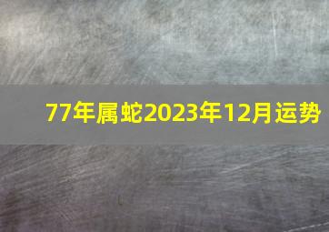 77年属蛇2023年12月运势