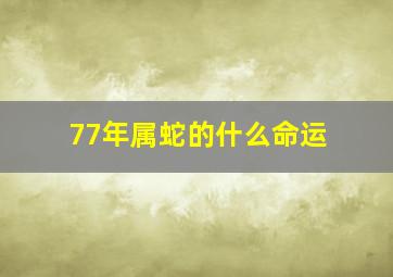 77年属蛇的什么命运