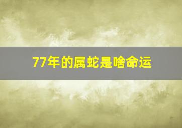 77年的属蛇是啥命运