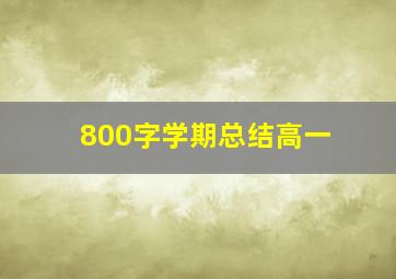 800字学期总结高一