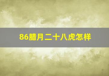 86腊月二十八虎怎样