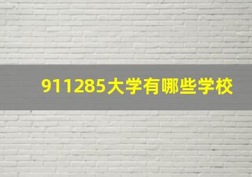 911285大学有哪些学校