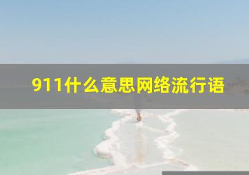 911什么意思网络流行语